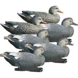 GHG Life Size Gadwall Duck Decoys 6 Pack